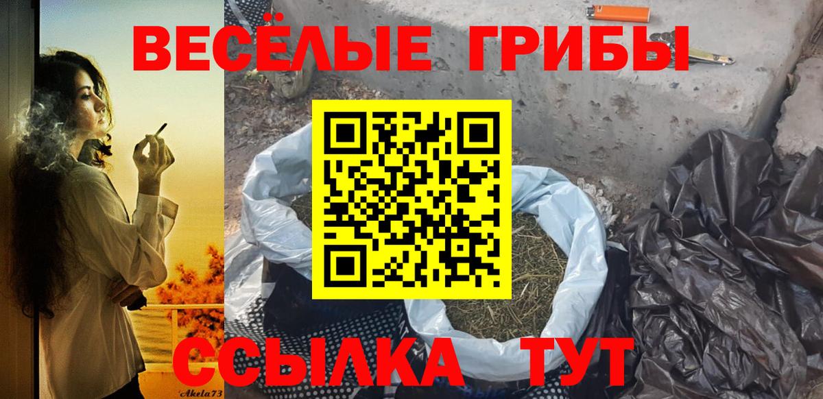Галлюциногенные грибы Psilocybe  как найти закладки  Псилоцибиновые грибы мухоморы  Иваново  Вход с VPN 