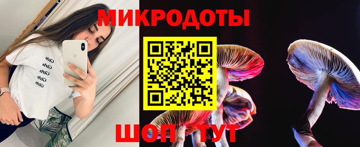 Галлюциногенные грибы прущие грибы Иваново